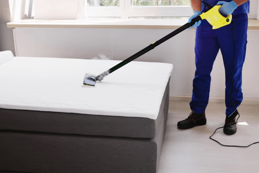 How Often Should You Hire a Professional Sofa Cleaning Service?